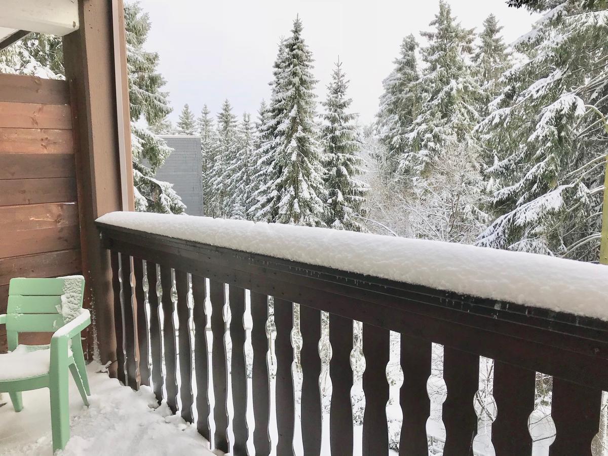 Kappeberg Lodge Winterberg Exteriör bild